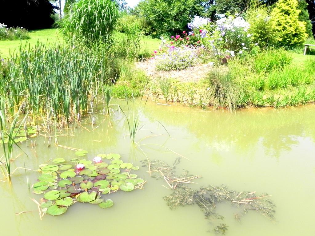 Les Charmilles Hazebrouck Exterior foto